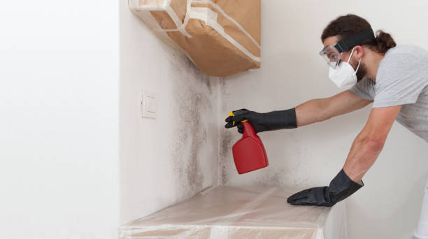 Professional Mold Cleanup technician working in Camden, NJ