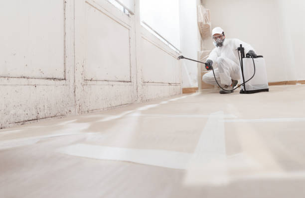 24/7 Emergency Mold Cleanup experts in Camden, NJ