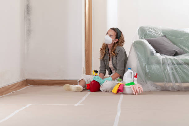 Reliable Mold Cleanup contractor in Camden, NJ by Cheap Mold Removal
